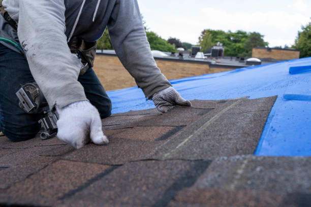 Quick and Trustworthy Emergency Roof Repair Services in Mound Bayou, MS